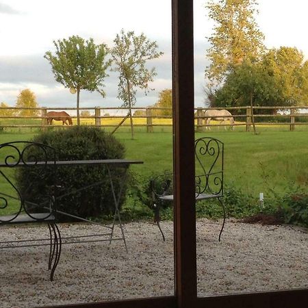 Bed and Breakfast Haras Des Leudets Blangy-le-Château Exteriér fotografie