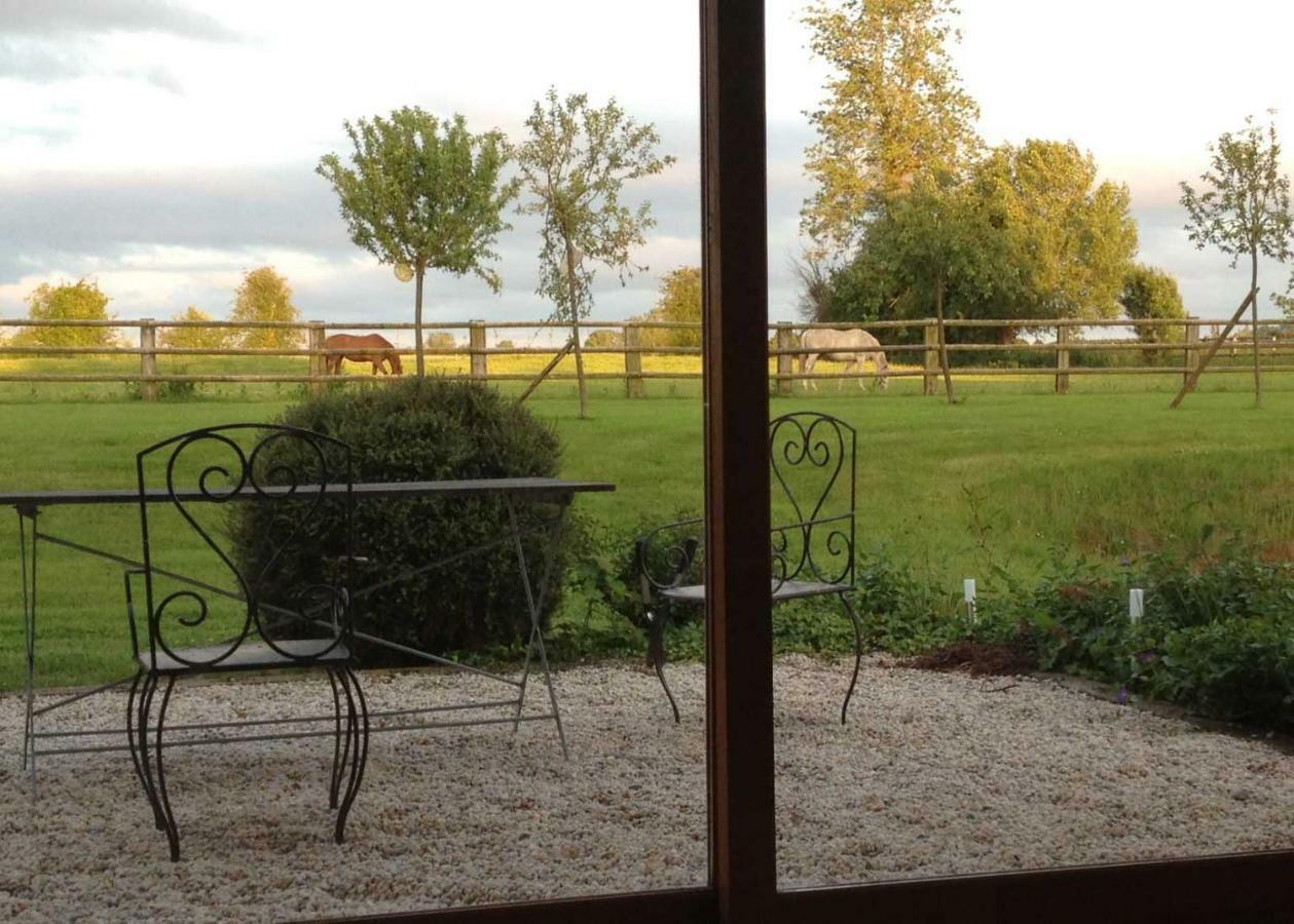 Bed and Breakfast Haras Des Leudets Blangy-le-Château Exteriér fotografie